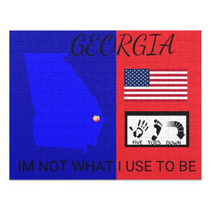 Five Toes Down Georgia 252 Piece Puzzle