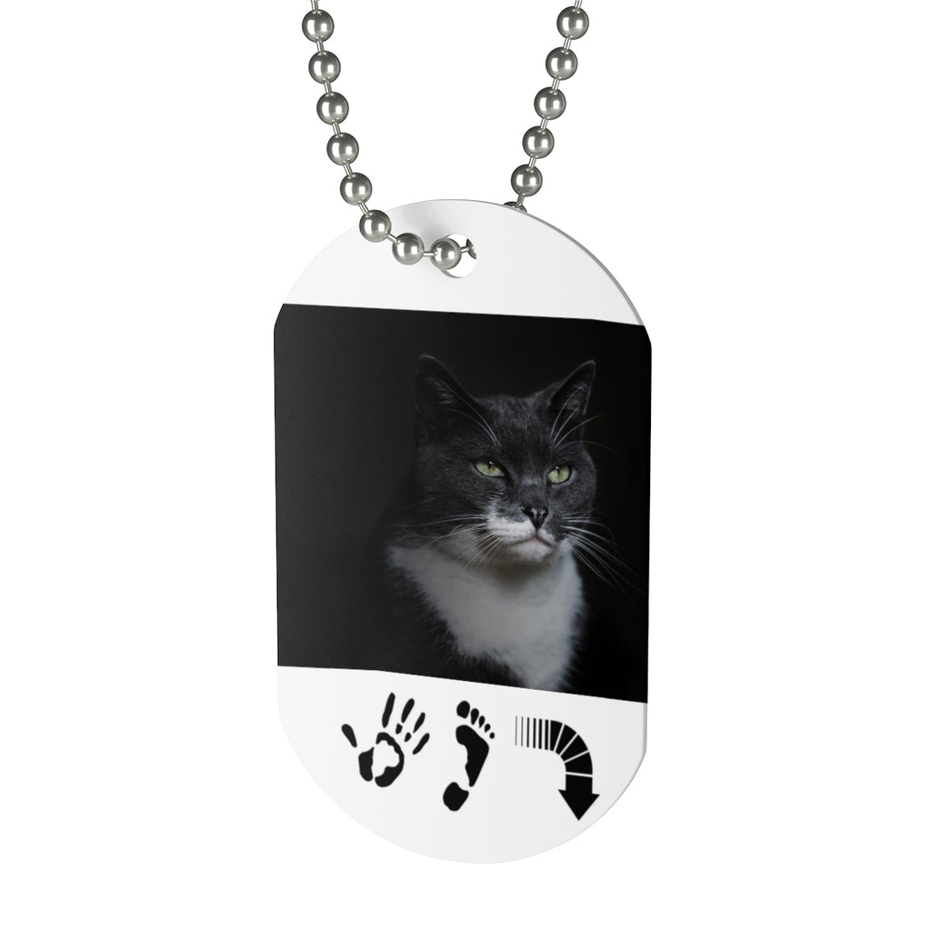 Five Toes Down Cat Tag